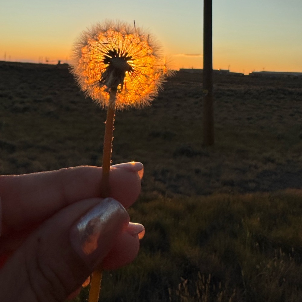 Meet your Posher, Eloise